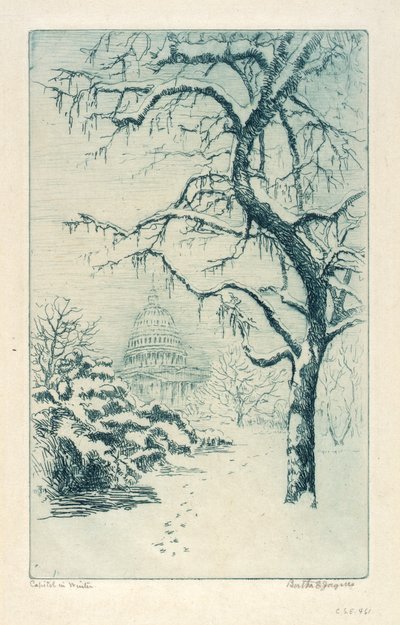 El Capitolio en invierno de Bertha E. Jaques
