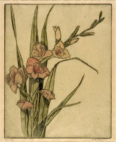 Gladiola de Bertha E. Jaques