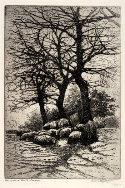 Hampstead Heath, Londres de Bertha E. Jaques