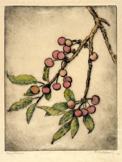 Cerezas de mayo de Bertha E. Jaques