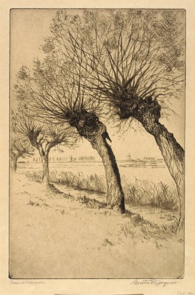 Pollard Willows, Rijsord, Holanda de Bertha E. Jaques