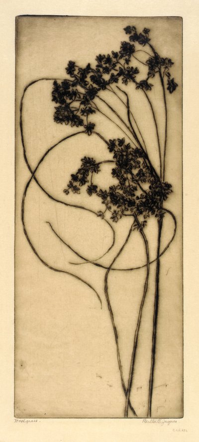 Woolgrass de Bertha E. Jaques
