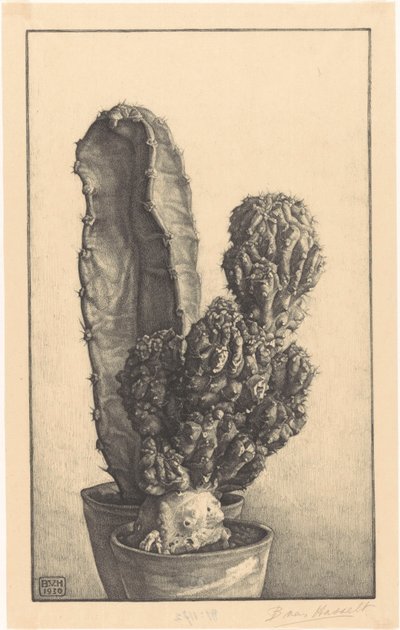 Caktussen (título original) de Bertha van Hasselt (signed by artist)