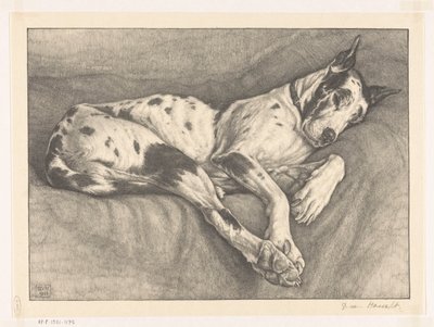Perro dormido de Bertha van Hasselt (signed by artist)