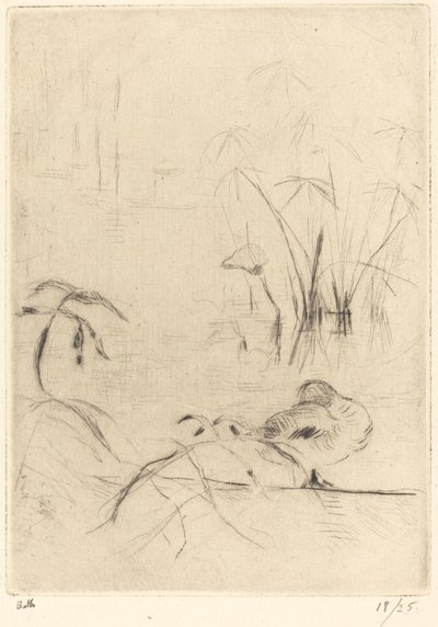 Patos descansando en la orilla, 1888-1890 de Berthe Morisot