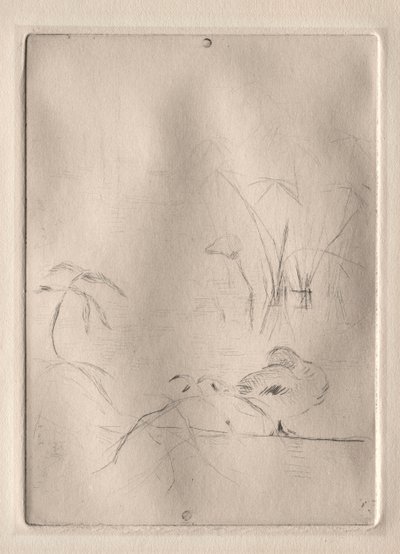 The Duck de Berthe Morisot