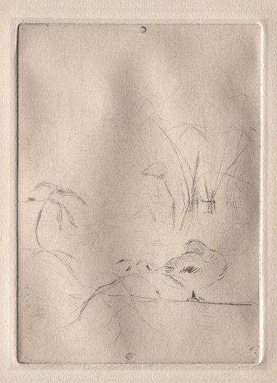 El Pato de Berthe Morisot