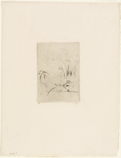 El Pato de Berthe Morisot