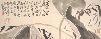 Hojas de Loto y Juncos de Agua de Bian Shoumin