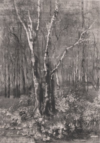 Bosques en el parque cerca de Monza, 1895 de Bianchi Mose