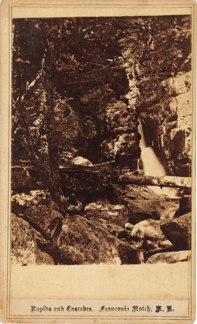 Rápidos y Cascadas, Franconia Notch, New Hampshire de Bierstadt Brothers