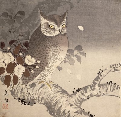 Un búho en la rama de un árbol de Biho Takashi or Takahashi (b. 1873. fl 1890 1930)