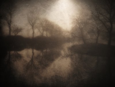Reflejo del bosque brumoso de Bill Eiffert