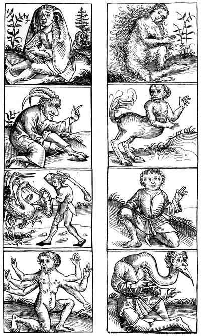 Creencias y supersticiones populares de Bisson and Cottard