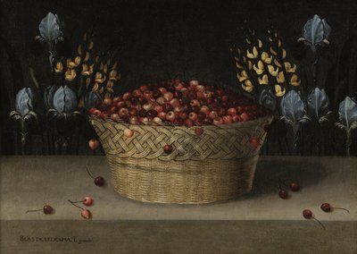Naturaleza muerta con cerezas, lupino e iris, c.1610 (óleo sobre lienzo) de Blas de Ledesma