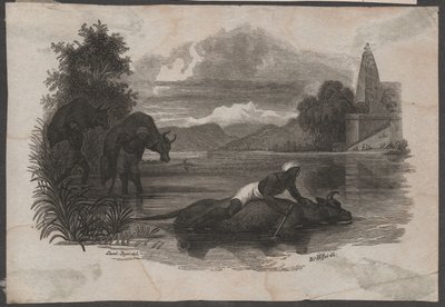 Granjeros llevan ganado muerto, hacia 1850 (grabado) de Blasius Höfel
