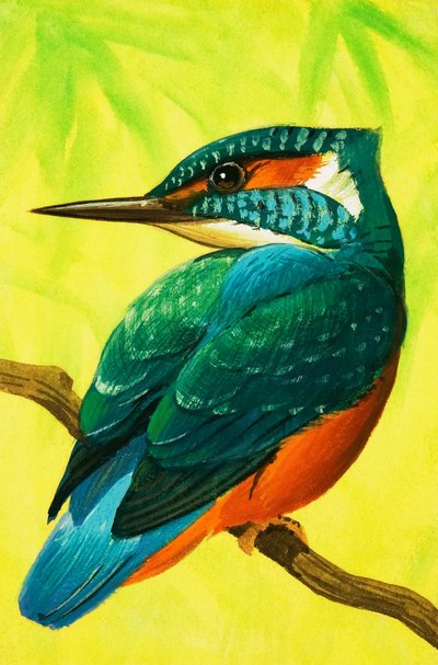 Kingfisher. de Bob Hersey