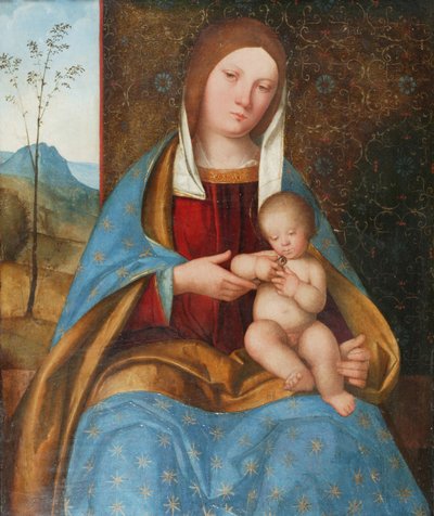 Virgen con el Niño (óleo sobre tabla) de Boccaccio Boccaccino