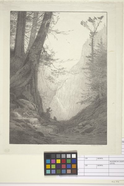 Big Cedars (tinta sobre papel, litografía) de Bolton Coit Brown