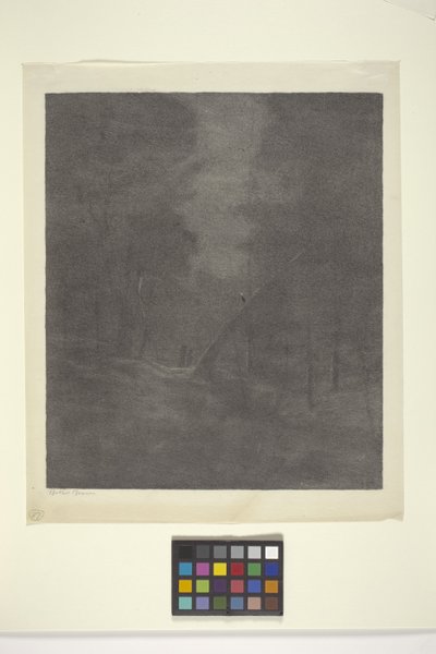 Moonlight Woods (tinta sobre papel) de Bolton Coit Brown