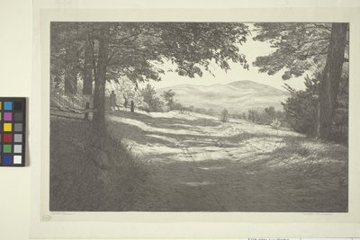 Vista norte (tinta sobre papel) de Bolton Coit Brown