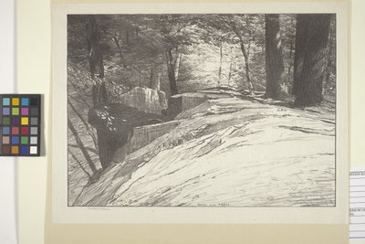 Rocas y árboles (tinta sobre papel) de Bolton Coit Brown