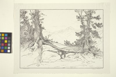 Sierra Pines (tinta sobre papel) de Bolton Coit Brown
