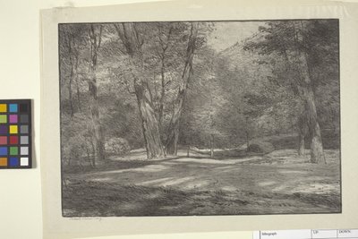 Sierra Woods (tinta sobre papel) de Bolton Coit Brown
