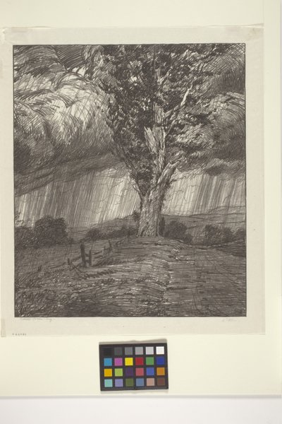 Tormenta (tinta sobre papel) de Bolton Coit Brown