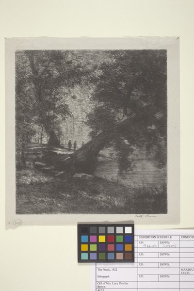 The Picnic (tinta sobre papel) de Bolton Coit Brown
