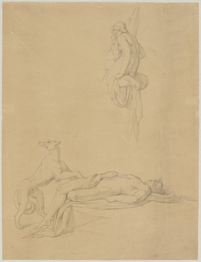 Estudios de acto en "Narciso y eco" de Ovidio de Bonaventura Genelli