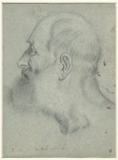 Cabeza de hombre con barba, de perfil a la izquierda de Bonifazio Veronese (attributed to)