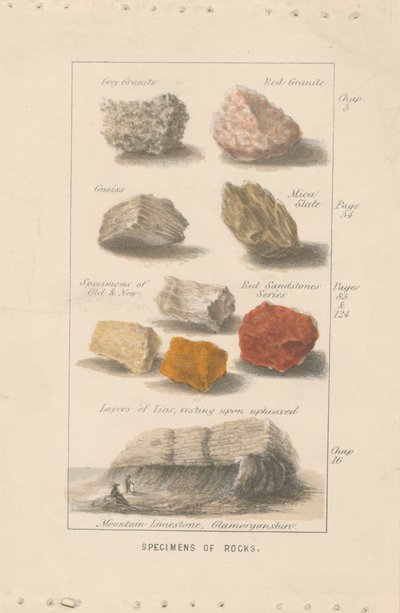 Especímenes de rocas. Prueba de una ilustración para el "Globo preparado para el hombre" de Wright. de Bradshaw and Blacklock