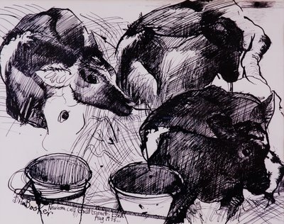 Terneros, húmedos, recién nacidos, 1978 de Brenda Brin Booker