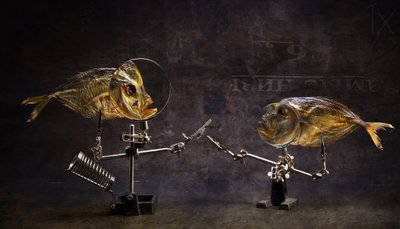 Curiosa conversación de peces de Brig Barkow