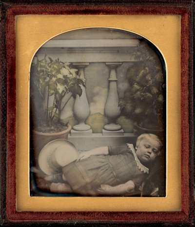 Retrato de un Niño de British 19th Century