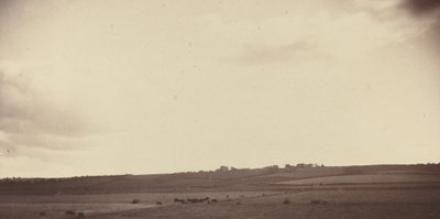 Vista de campos con vacas de British 19th Century