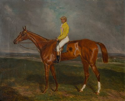 Un caballo de carreras alazán con jinete, c.1860-90 (óleo sobre lienzo) de British School
