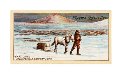 El capitán L.E.G. Oates ejercita un poni siberiano en el hielo marino frente al cabo Evans. de British School