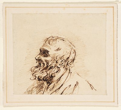 Cabeza de hombre con barba (grafito, pluma y tinta marrón sobre papel verjurado, colocado sobre una montura) de British School