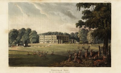Manada de ciervos frente a Trentham Hall de British School
