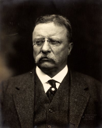 Theodore Roosevelt, c.1915 de Brothers Pach