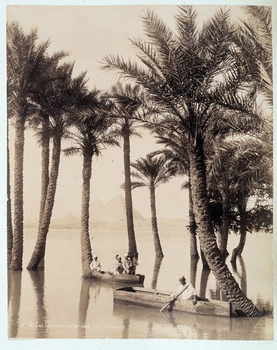 Un palmeral al pie de las pirámides de Egipto - fotografía de los hermanos Zangali, finales del siglo XIX de Brothers Zangaki