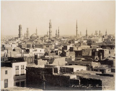 Vista de los techos de El Cairo - fotografía de los Hermanos Zangali, finales del siglo XIX de Brothers Zangaki