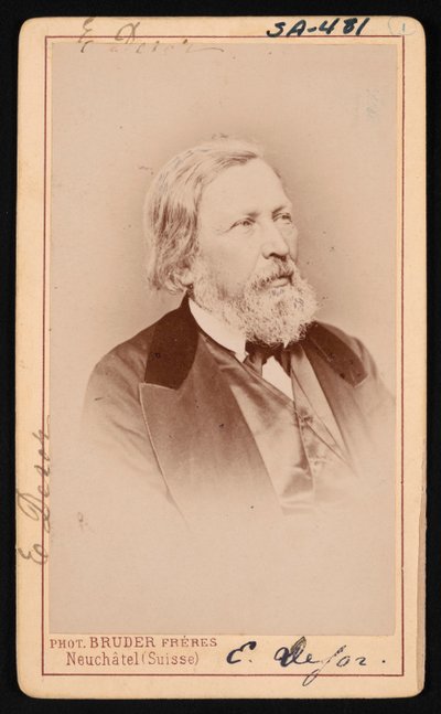 Retrato de Pierre Jean Edouard Desor 1811-1882, antes de 1882 de Bruder Freres