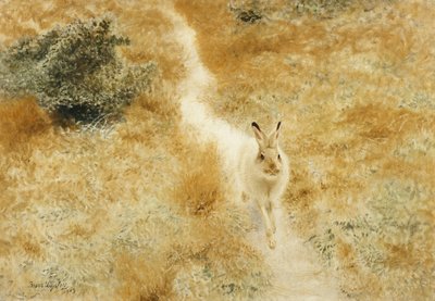 Una liebre de invierno en un paisaje de Bruno Andreas Liljefors