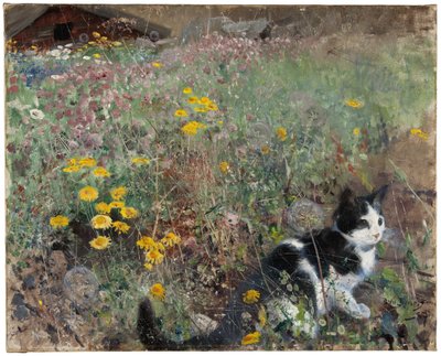 Gato en un prado floreado de Bruno Andreas Liljefors