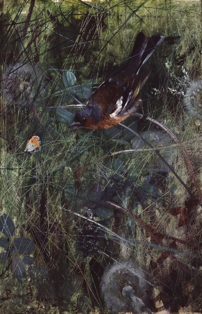  de Bruno Andreas Liljefors