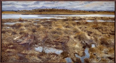 Zarapitos Aves en las marismas. Pintura de Bruno Andreas Liljefors (1860-1939) 1913 Sol. 1,19x2,2 m de Bruno Andreas Liljefors