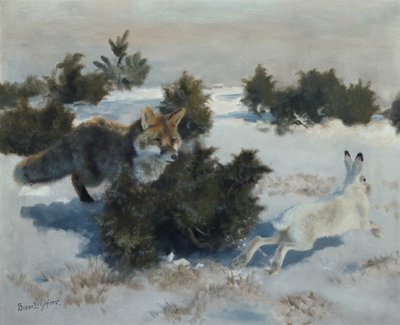 zorro y liebre de Bruno Andreas Liljefors